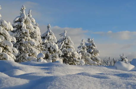 拉尼娜来了 今年会是“极寒之冬”吗?(拉尼娜 冬天)
