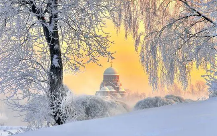 Empty reply from server