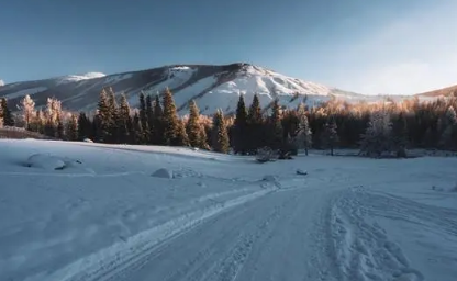 Empty reply from server