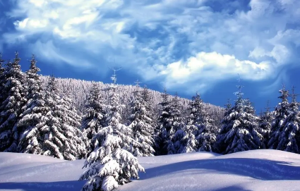 Empty reply from server