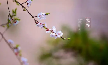 2023年是不是土命年(2023年是不是两个春节)