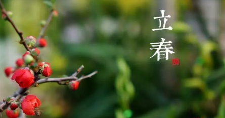 2023年是不是土命年(2023年是不是两个春节)