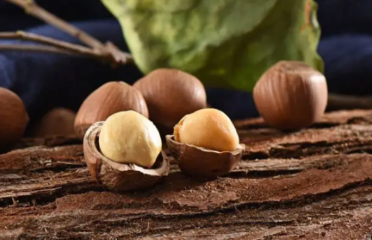 榛子生吃好还是熟吃好功效与作用(榛子生吃好还是吃熟的好)