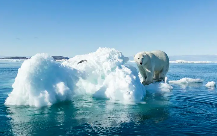 2020年是几年来最冷的冬天(2020年是不是最冷的一年)