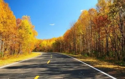 2022年农历十月初一是几号(2022年农历十月初一出生)