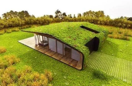 进家门的那一天应该做什么？