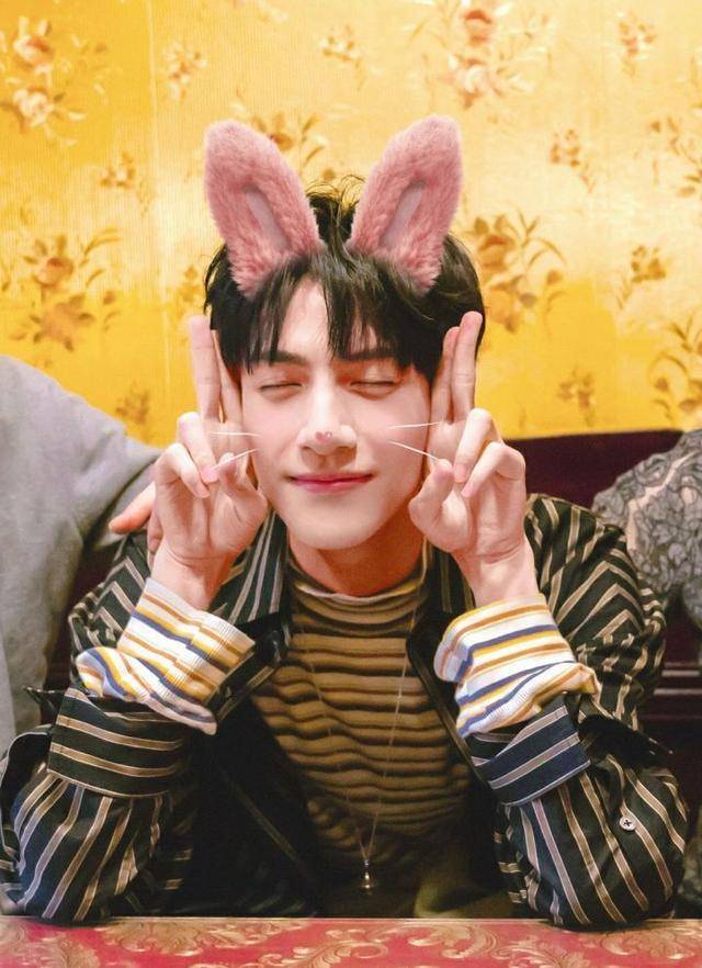 怎么形容罗云熙的颜值(罗云熙才艺)