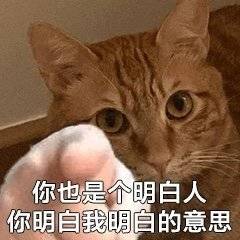 汪小菲庙幽会结婚,张兰首先谈到了新媳妇的标准。承认一段新欢就这么难吗?