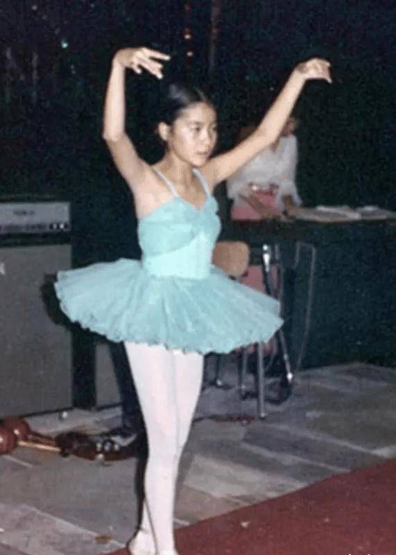 事业精彩、感情黯淡，相恋18年一直未婚，杨紫琼一生精彩纷呈(杨紫琼感情经历)