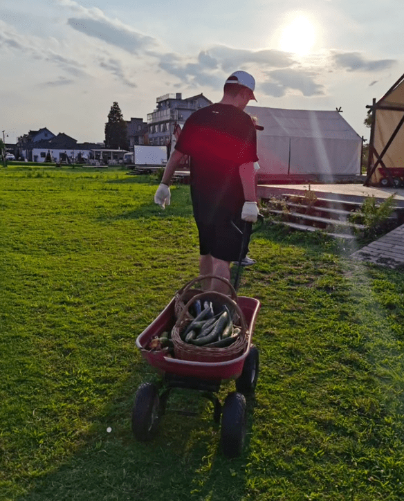 带着家人去摘菜,不再做“二传手”,对张大爱。太甜蜜了。