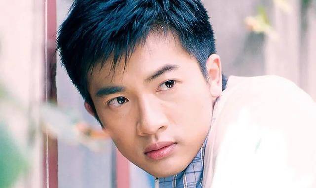 苏有朋的偶像(苏有朋人气)