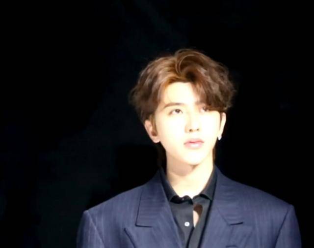 髡残的真实颜值如何在一次活动上被偷拍时一眼看出,下巴太尖不美观?