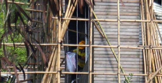 林青霞大厦失火后，郭富城的住宅区也被盗。网友：怎么回事？