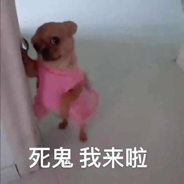 汪小菲庙幽会结婚,张兰首先谈到了新媳妇的标准。承认一段新欢就这么难吗?