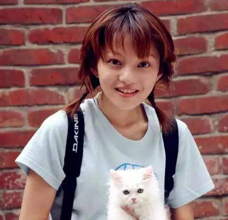 范玮琪怎么伤害张韶涵(范玮琪背叛张韶涵)