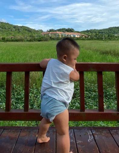 蔡少芬身材(46岁蔡少芬怀三胎)