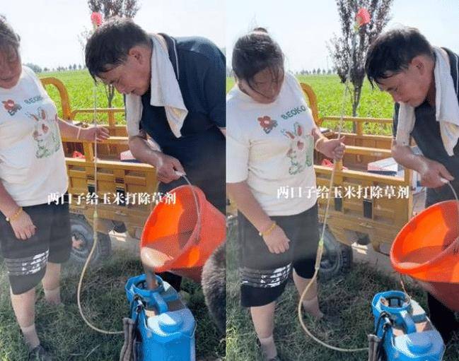 恭喜你！大衣服装进书里！这位明星没有行李，接到通知时正和妻子忙着农活。