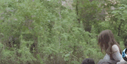 Operation timed out after 150000 milliseconds with 0 bytes received