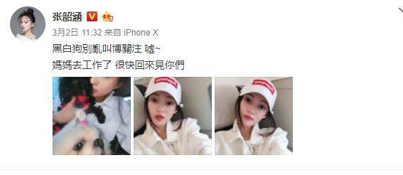 范玮琪怎么伤害张韶涵(范玮琪背叛张韶涵)