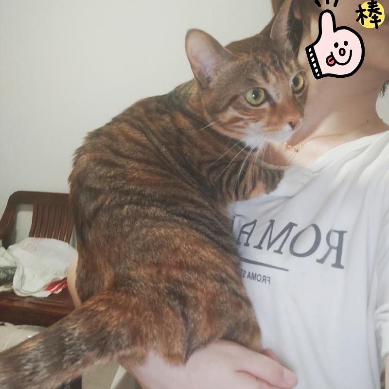 你喜欢什么声音为什么喜欢,现在抖音为什么那么受人喜爱