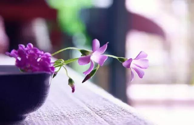 充满阳光的句子晨光照耀城市的句子