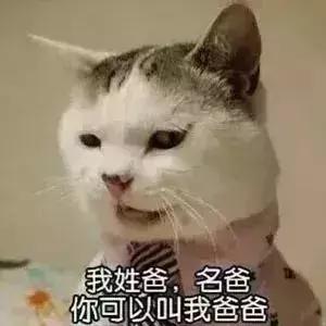 女生最喜欢男生叫她什么,如果一个女生给我起外号