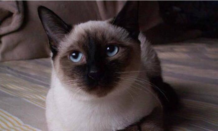 你喜欢的人不喜欢你该怎么办(但知道她应该不喜欢我)