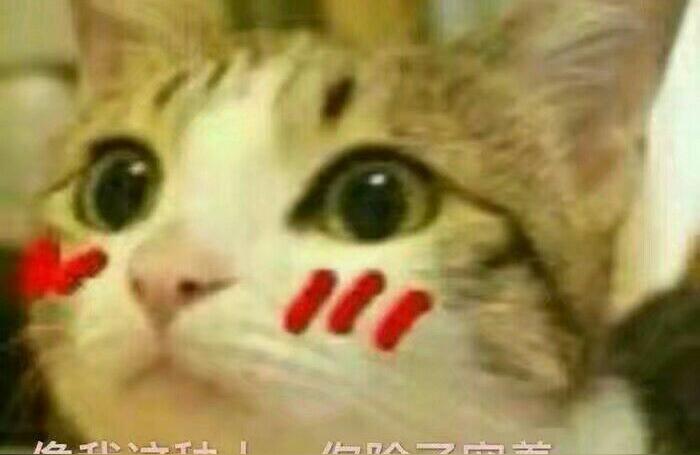 一招让女人死心塌地的跟着你(哪些方法能让女生对男生死心塌地)