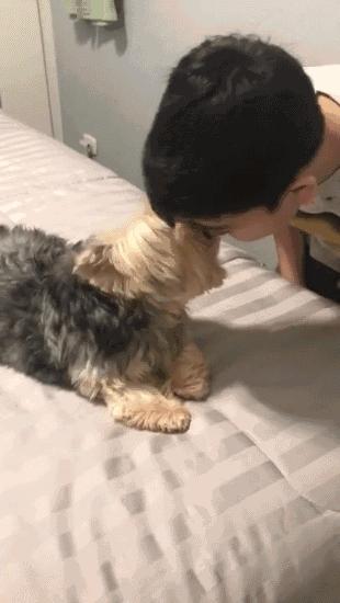 男人亲吻你是什么意思,如果男生主动亲吻一个女生