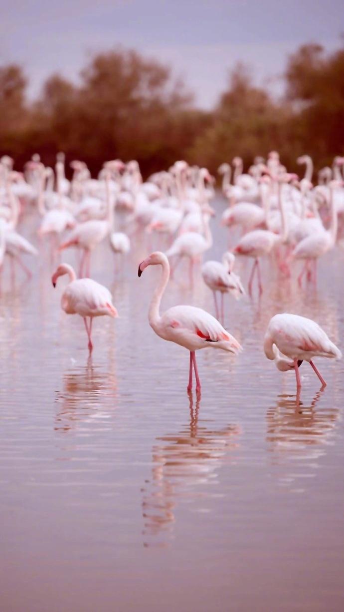 怎么让一个女生重新喜欢你,女孩该如何教育