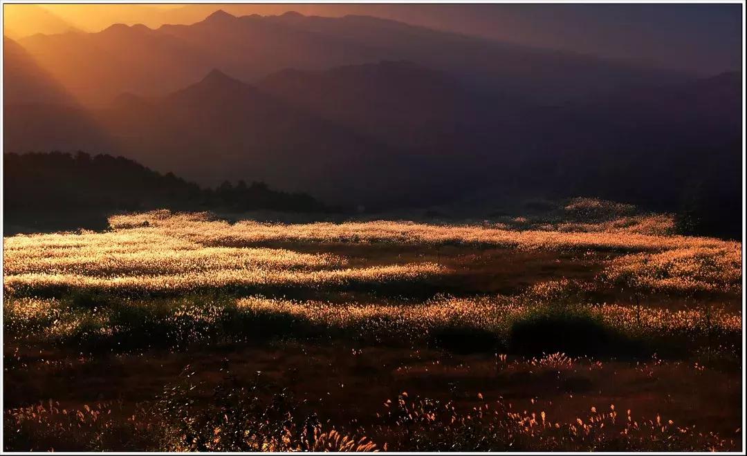 怎样撩男生让他毫无抵抗力如果一个已婚的女人