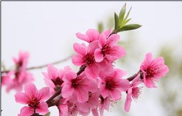 心理学判断男生暗恋你(发微信喜欢用标点符号的男生是个怎样的人)