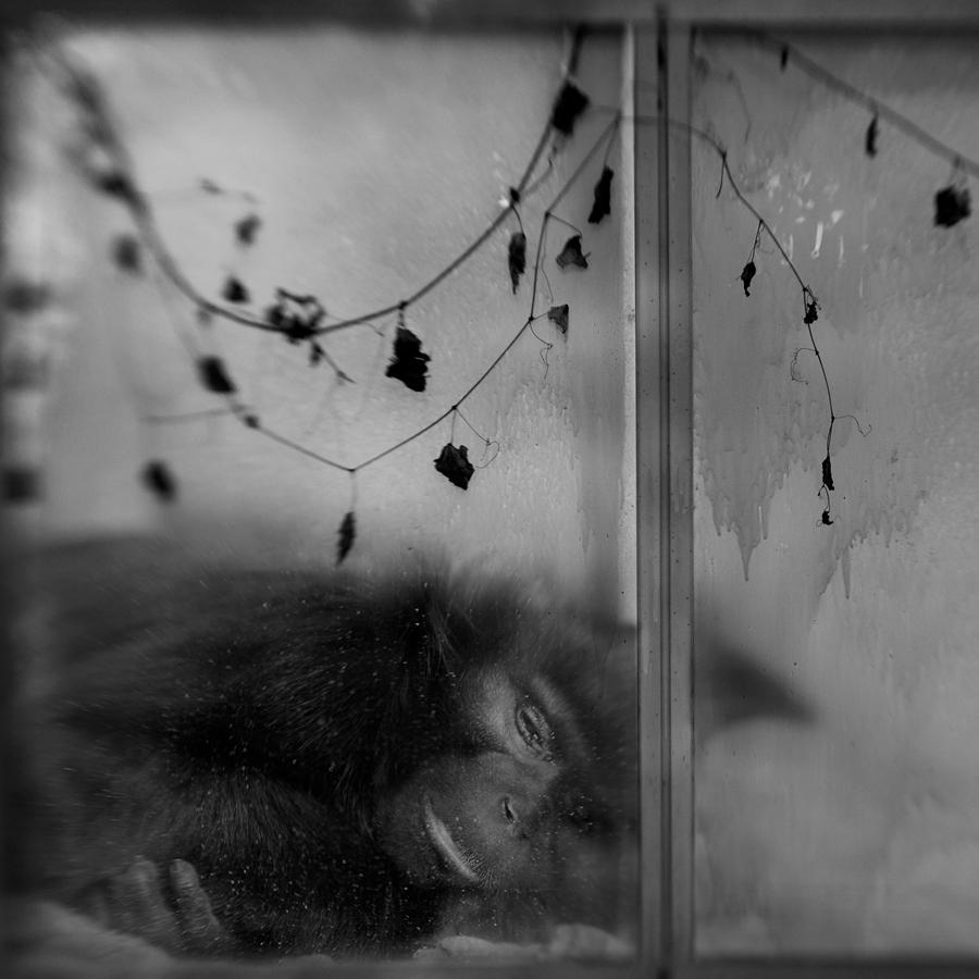 男人最喜欢的两种声音是什么黎明和张信哲相比谁的唱歌水平更好一些呢