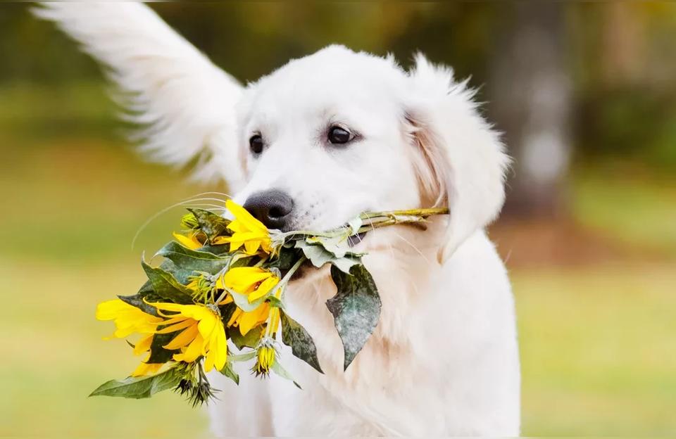 喜欢17岁的男生喜欢张云雷的都是什么年龄的人