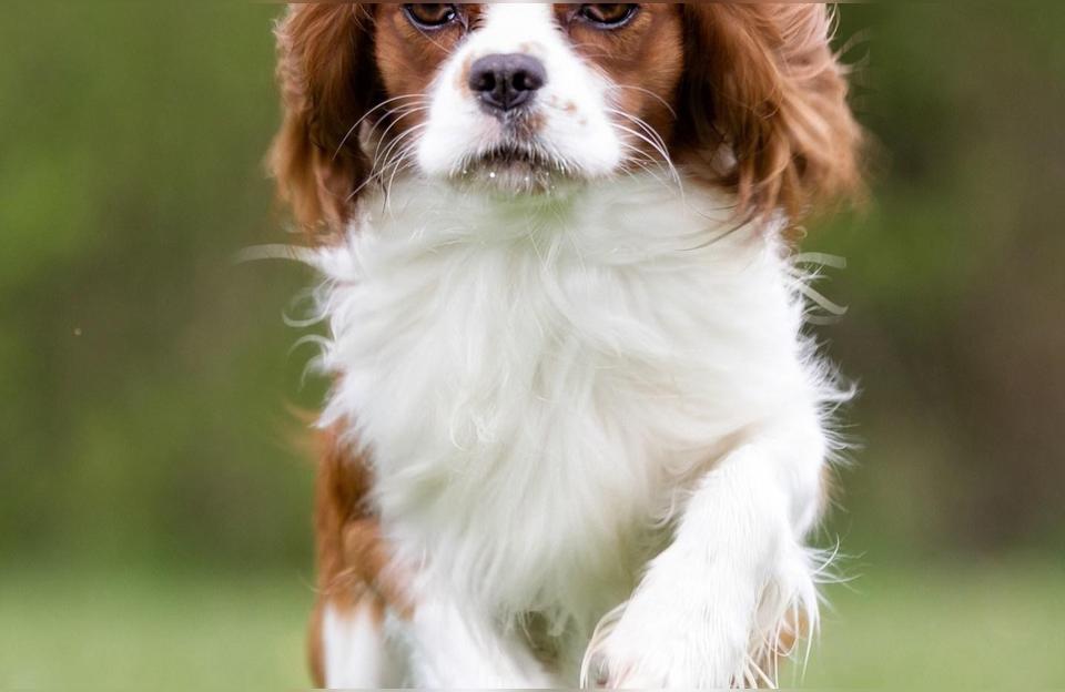 男人对女人说小脑袋瓜冷静理智的女人喜欢的类型