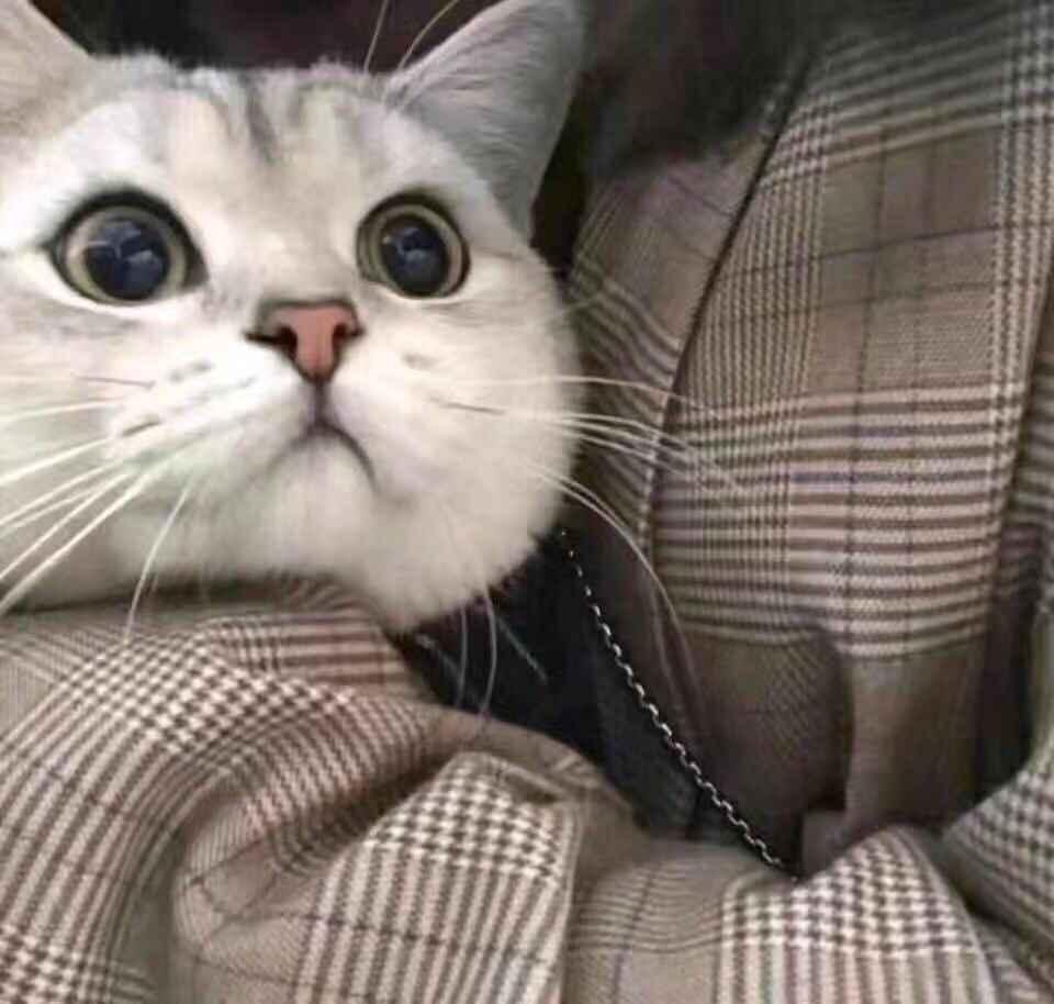 男生最喜欢什么样的女生头像为什么有些男生喜欢用比较纯的头像