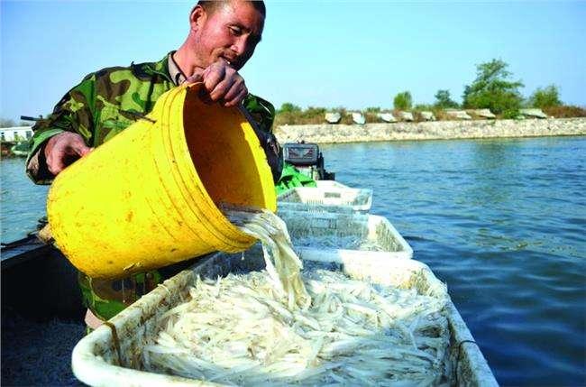 女生变弯的前兆一些女人穿衣暴露的现象