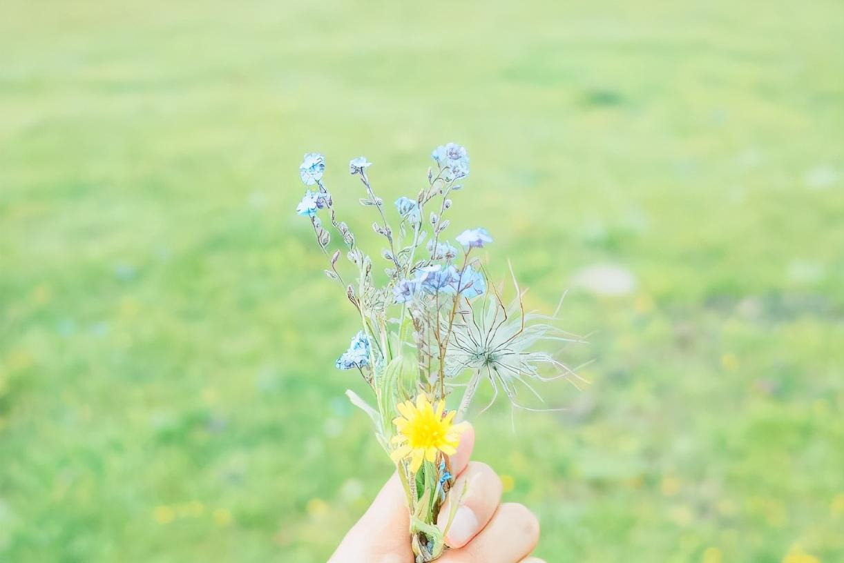 越是优秀的越有个性的女人有个很强势的老婆是一种什么样的感觉
