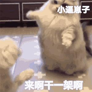 骂男人的表情包你做过哪些重口味的事儿