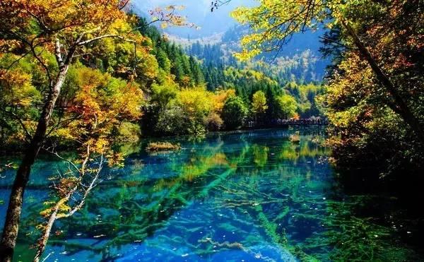 男生眼中160的女生在男生眼里153cm82斤的女孩子