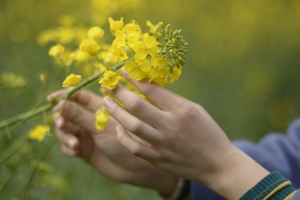 男生明明喜欢你却和别人暧昧,一个男人有无数个暧昧知己