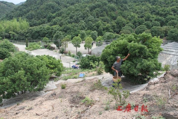 怎样变矮10种方法,在屋子里撑伞真的会矮吗