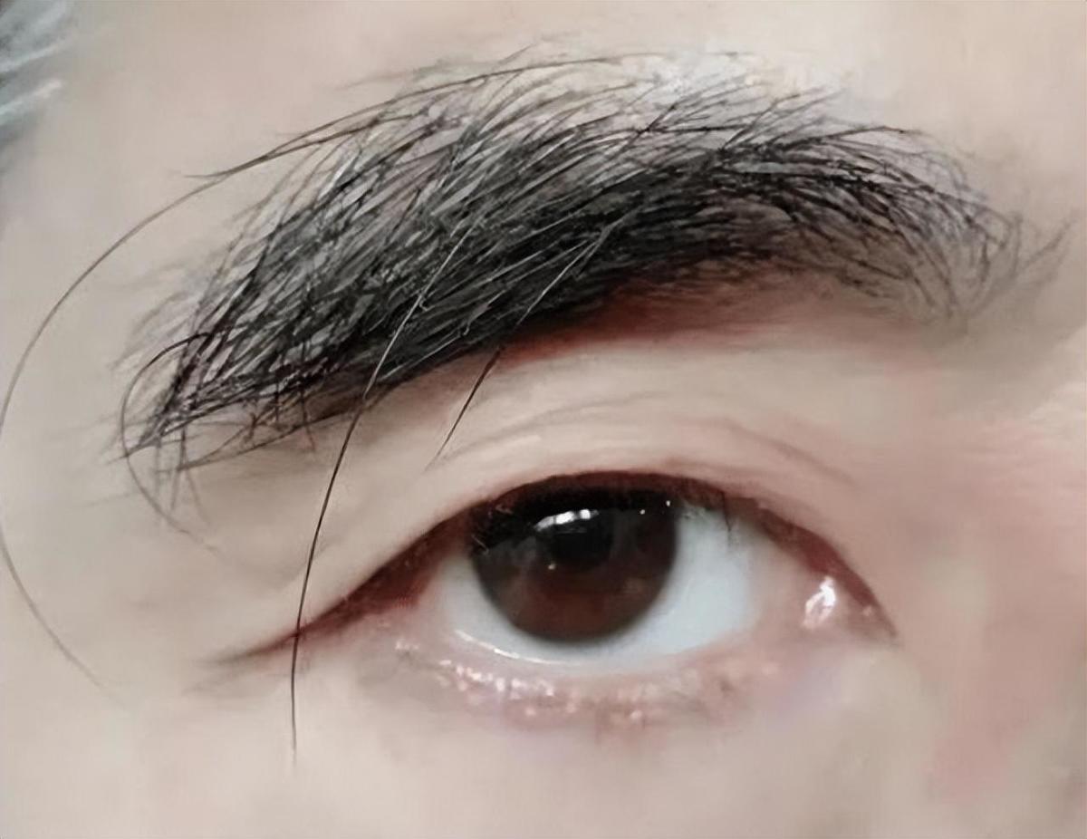 男生的那里怎么样变长,男性应该怎么提高自己的雄激素