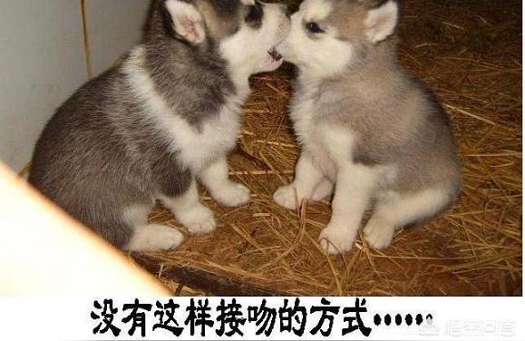 最火老公备注给男朋友特殊的备注