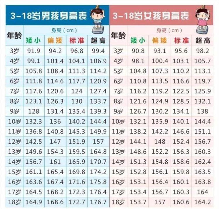 年龄与身高体重对照表男多大年纪可以算大叔