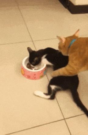 和女生太熟了,你和同事发生过暧昧关系吗