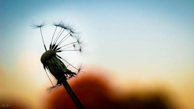 男人想听什么好听的话男朋友昨天和我生气