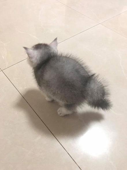 男生为什么喜欢逗女生生气恋爱中为什么大多都是男生哄女生