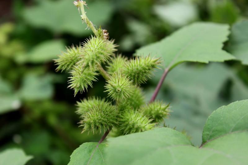 男孩子喜欢男孩子怎么办(主动加了一个男生的联系方式)