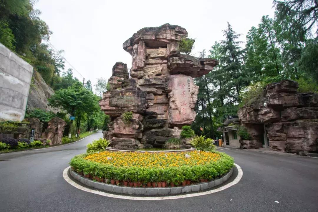 舞泡网,你听过的怼人最狠的话是什么